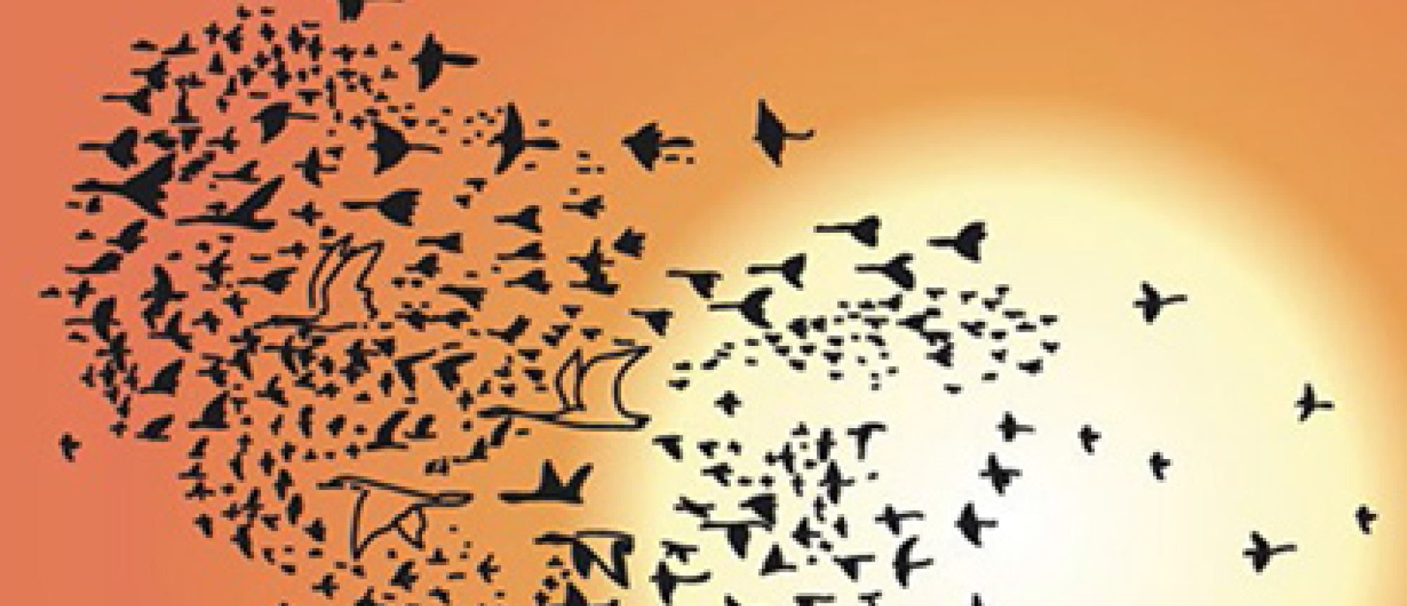 Presentatie van Dirk Kroon Op de hoogte van de vogels - Verzamelde gedichten